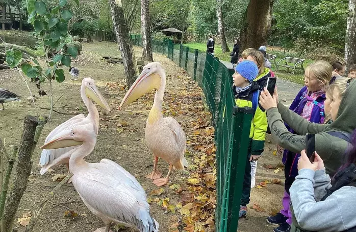 Páťáci se dojeli podívat do ZOO na zvířata, která adoptovali