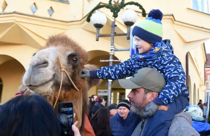 Vánoce na radnici za jarního počasí přilákaly davy lidí