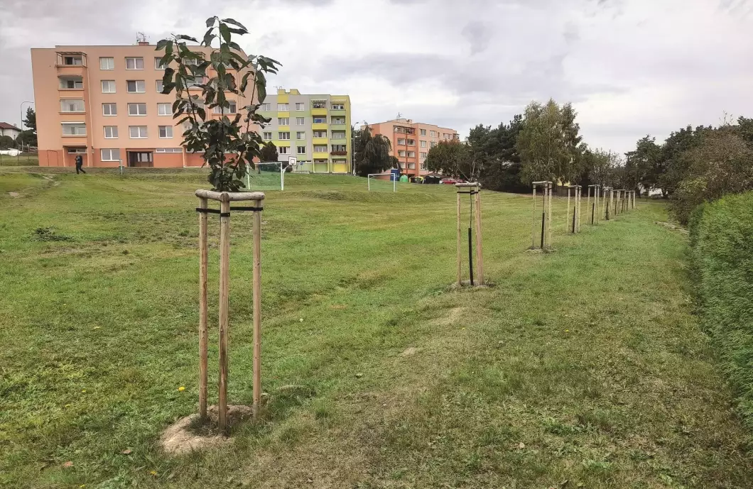 Výsadba zeleně v lokalitě Boženy Němcové zpříjemní život obyvatelům
