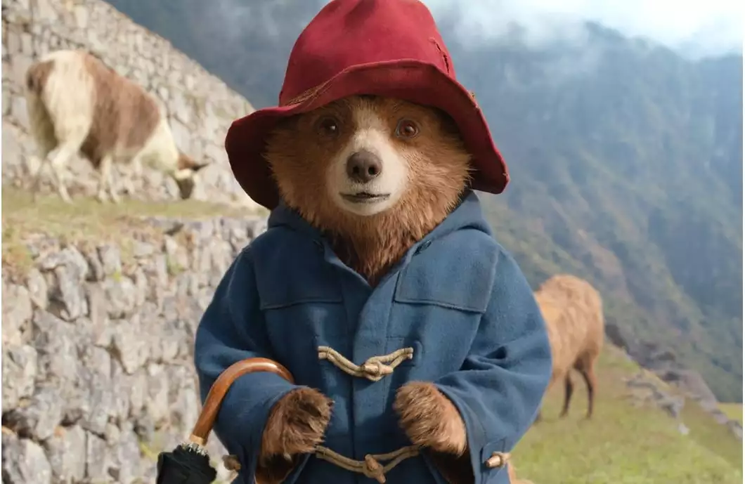 Paddington v džungli je podívanou pro celou rodinu