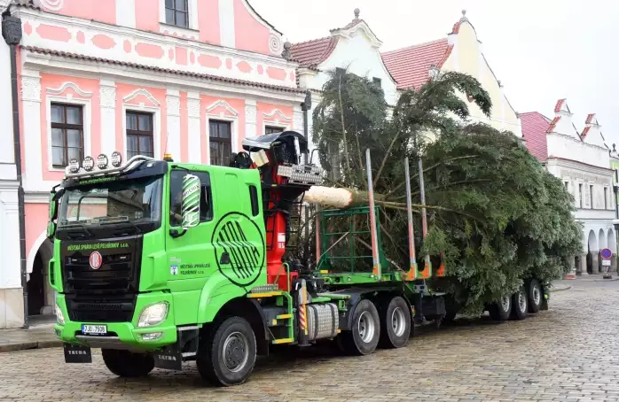 Hledá se vánoční strom na Masarykovo náměstí